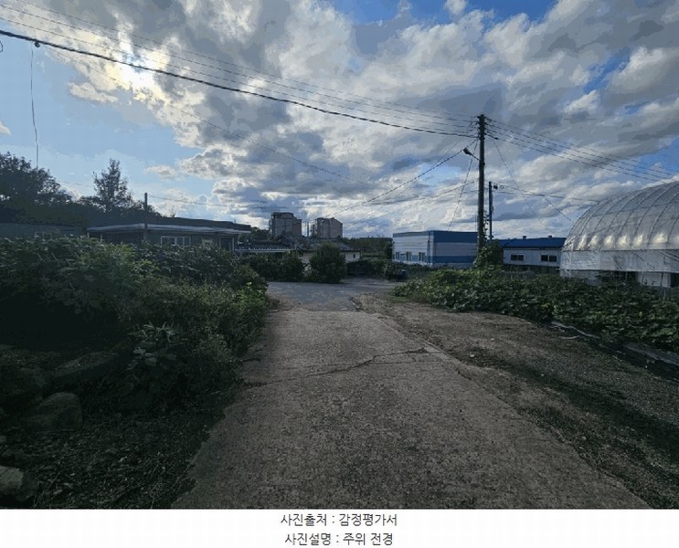 경매 이미지