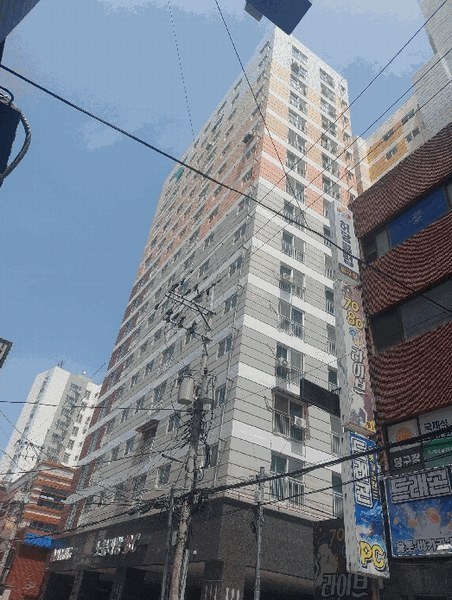 경매 이미지