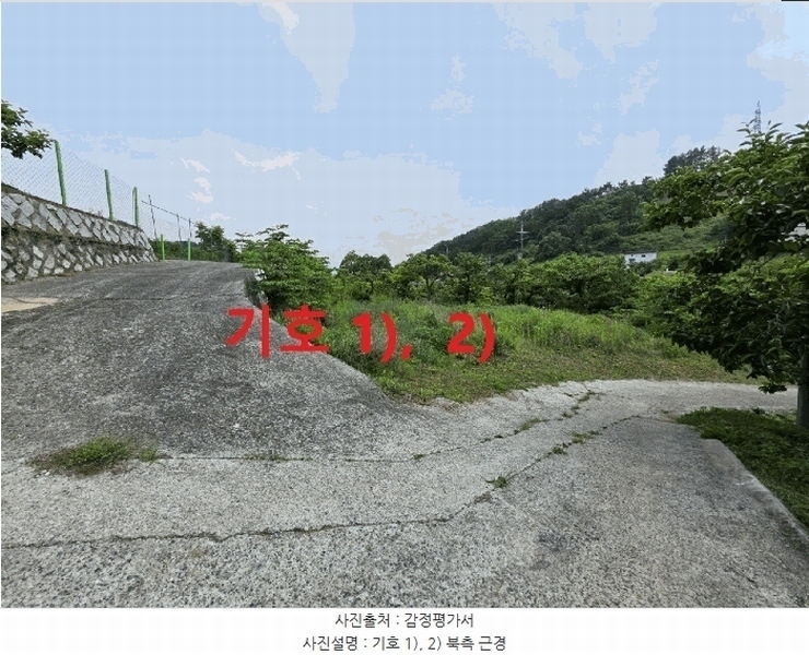 경매 이미지