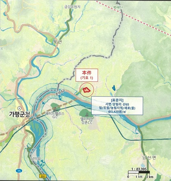 경매 이미지