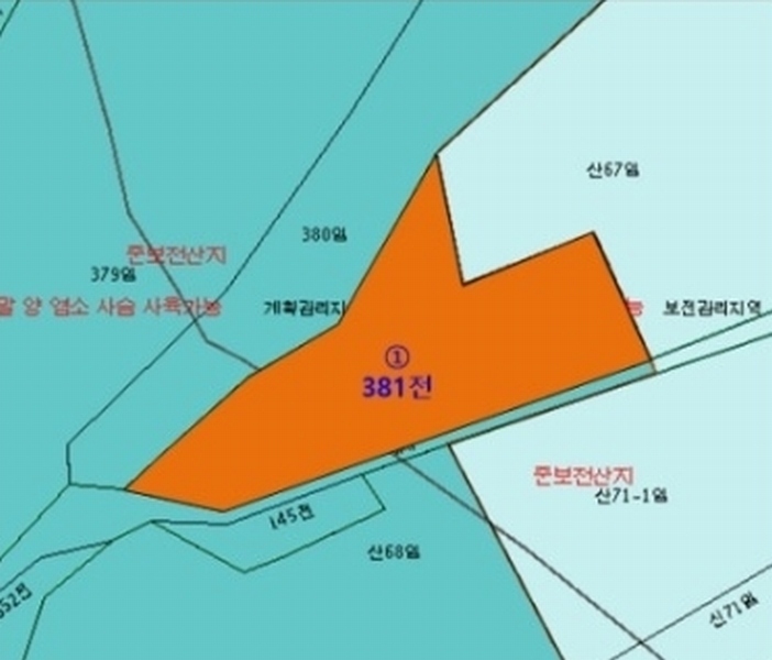 경매 이미지