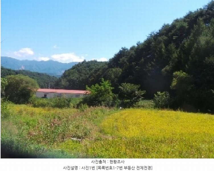 경매 이미지