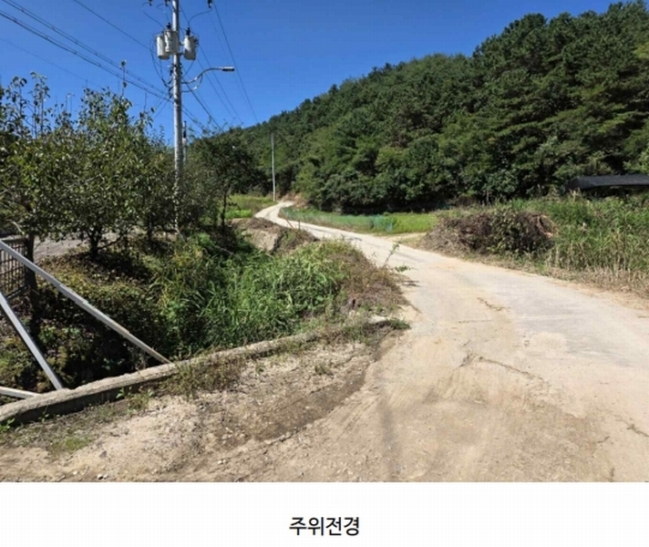 경매 이미지