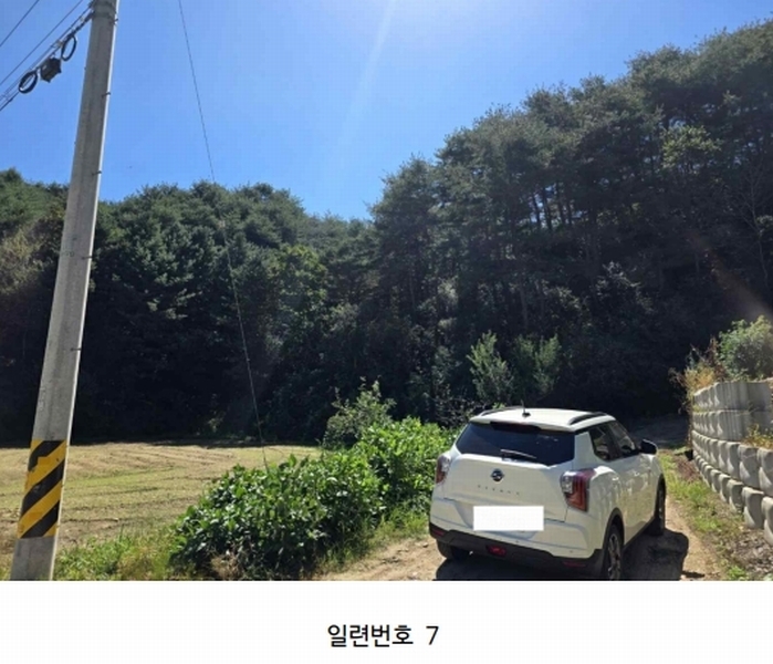 경매 이미지