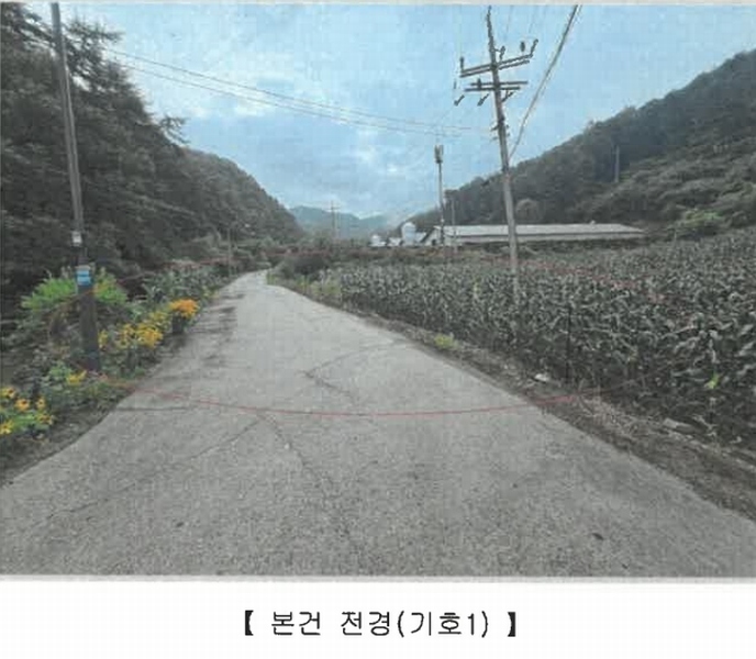 경매 이미지