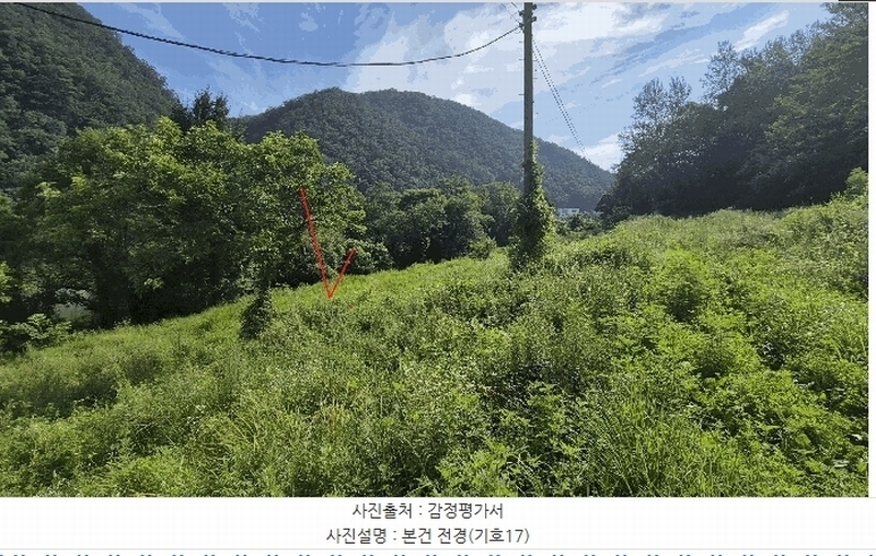 경매 이미지
