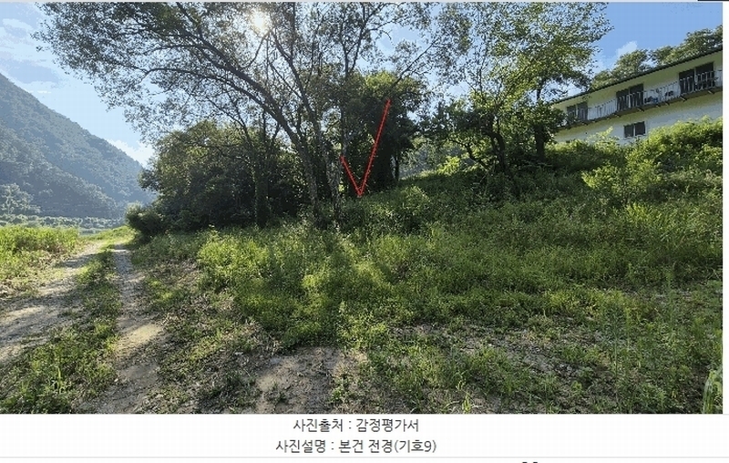 경매 이미지