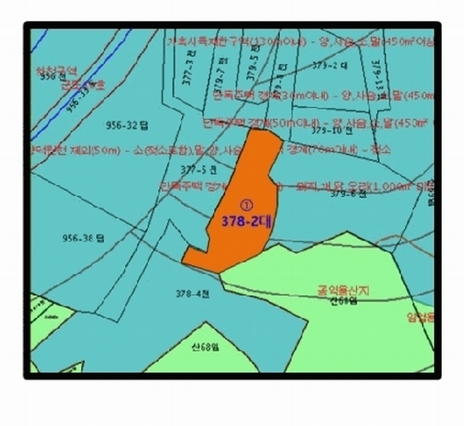 경매 이미지