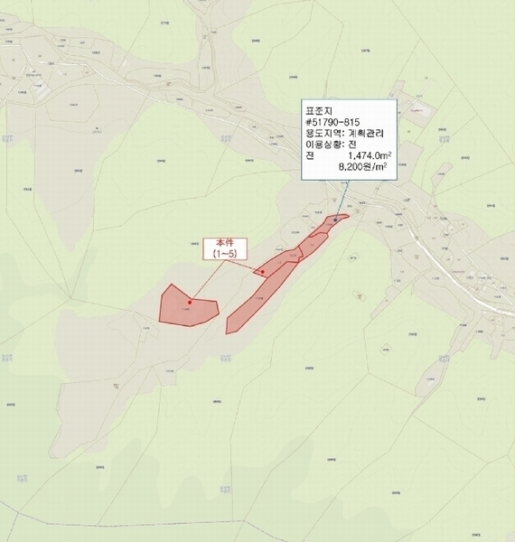 경매 이미지