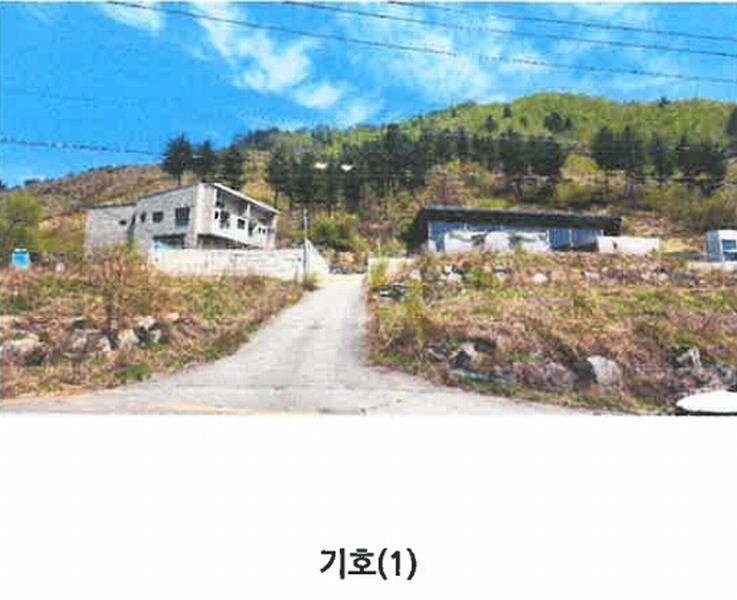 경매 이미지