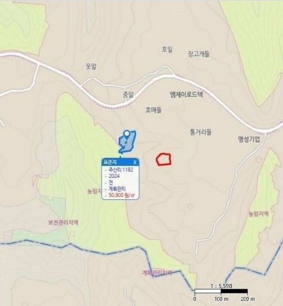 경매 이미지