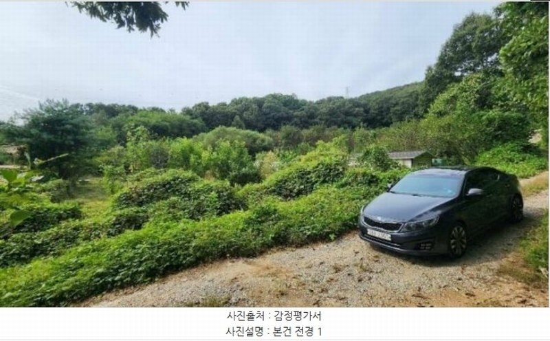경매 이미지
