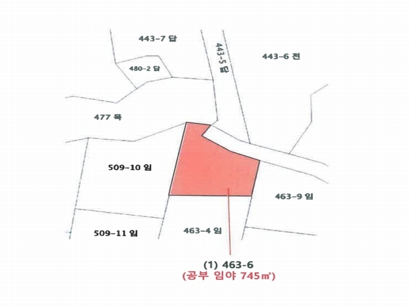 경매 이미지