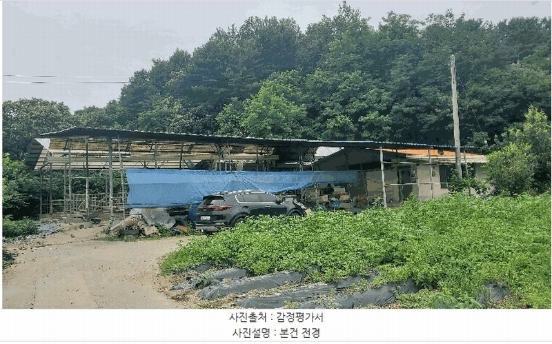 경매 이미지