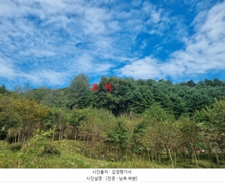 경매 이미지