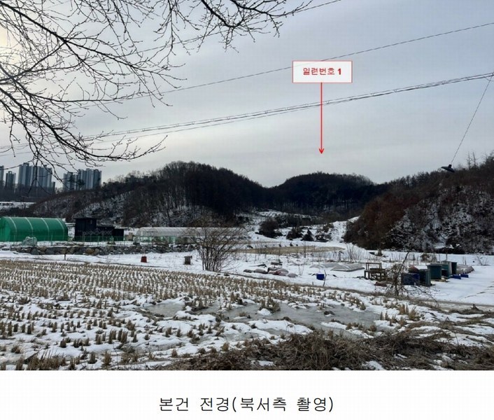 경매 이미지