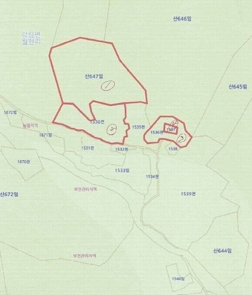 경매 이미지