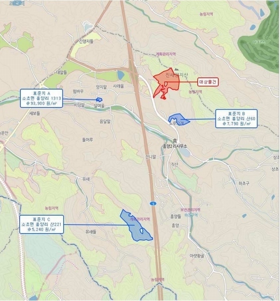 경매 이미지