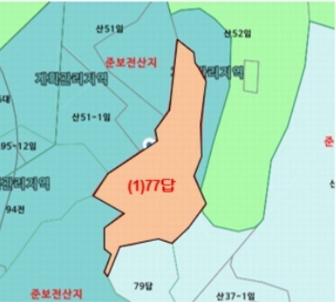 경매 이미지