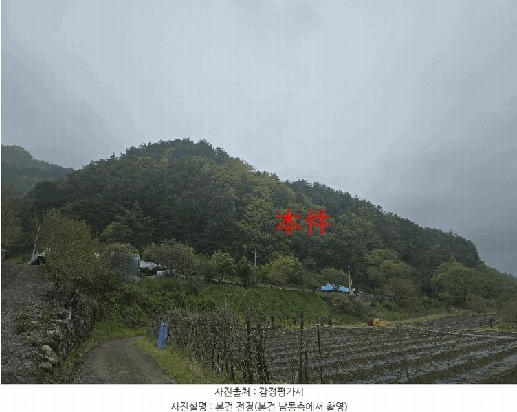 경매 이미지