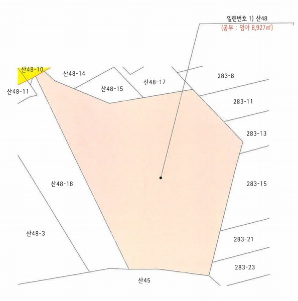 경매 이미지