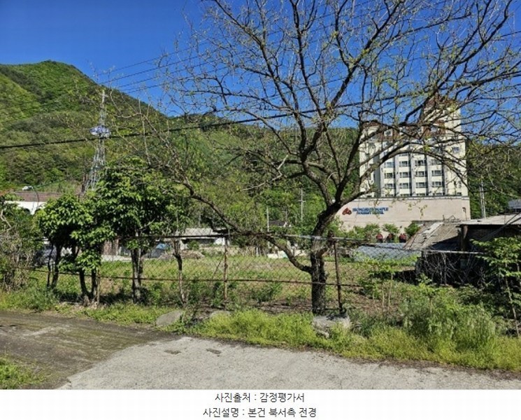 경매 이미지
