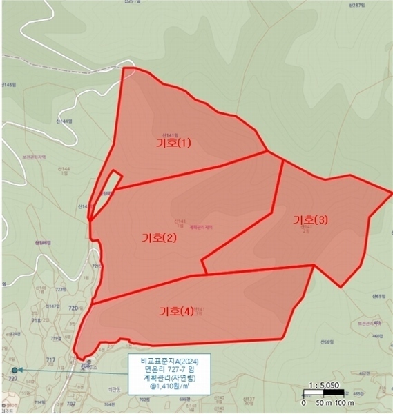 경매 이미지