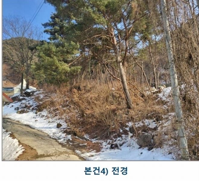 경매 이미지