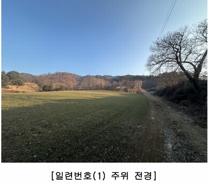 경매 이미지