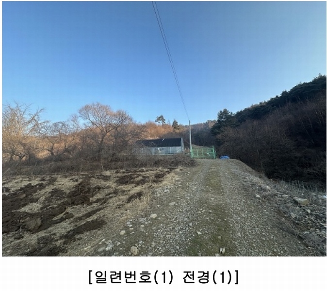 경매 이미지