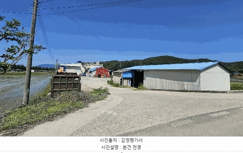 경매 이미지