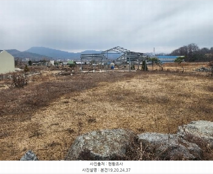 경매 이미지