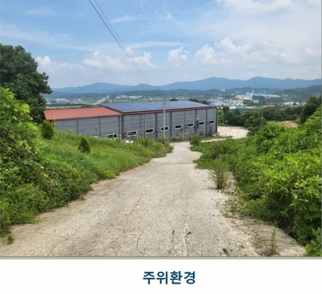 경매 이미지