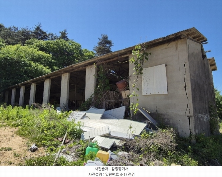 경매 이미지