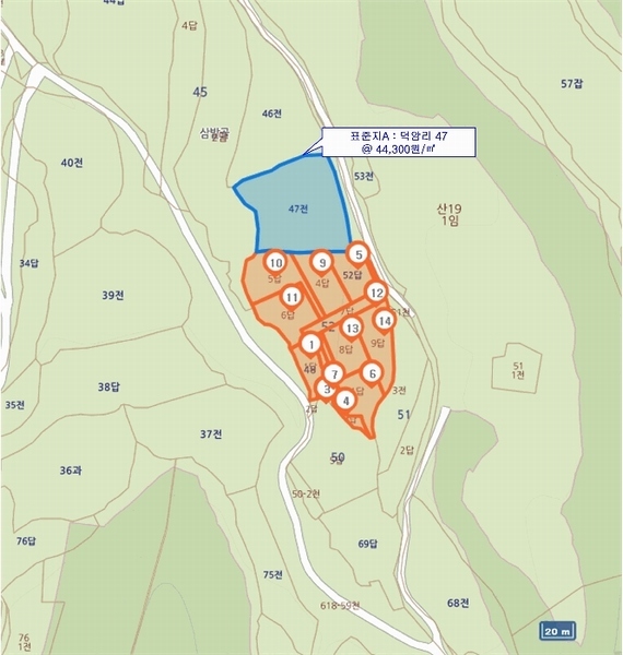 경매 이미지