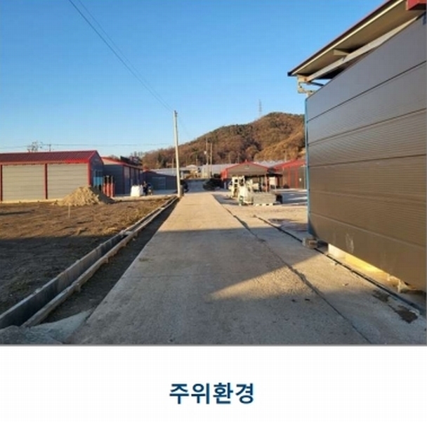 경매 이미지