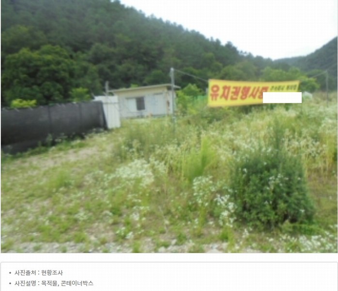 경매 이미지