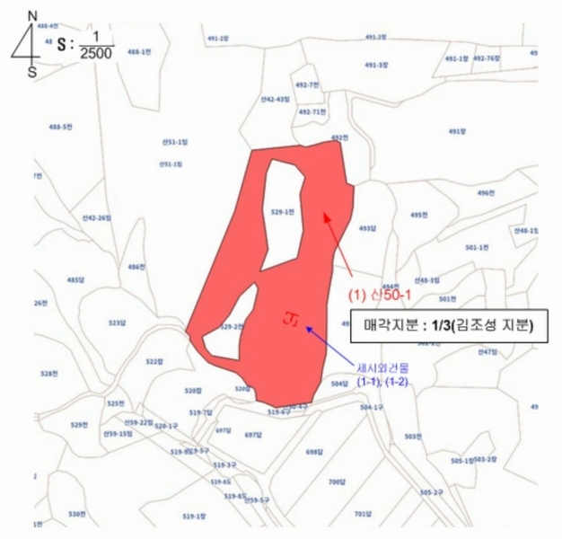 경매 이미지