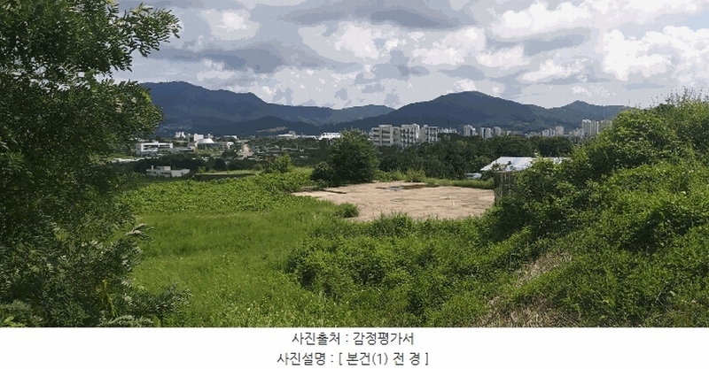 경매 이미지