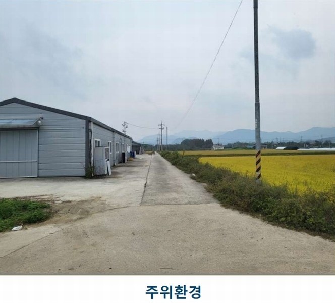 경매 이미지