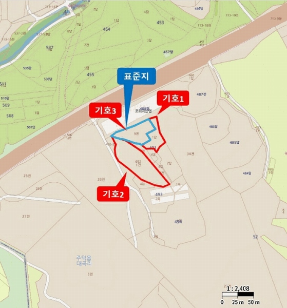 경매 이미지