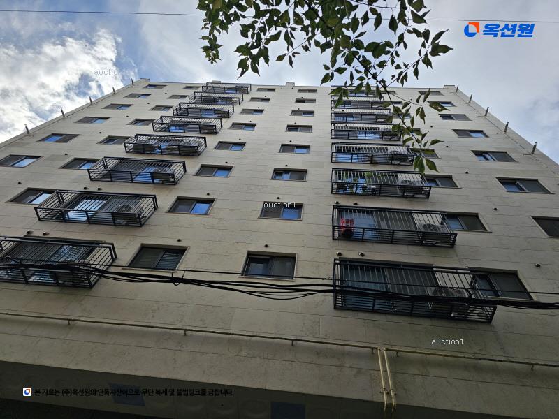 경매 이미지