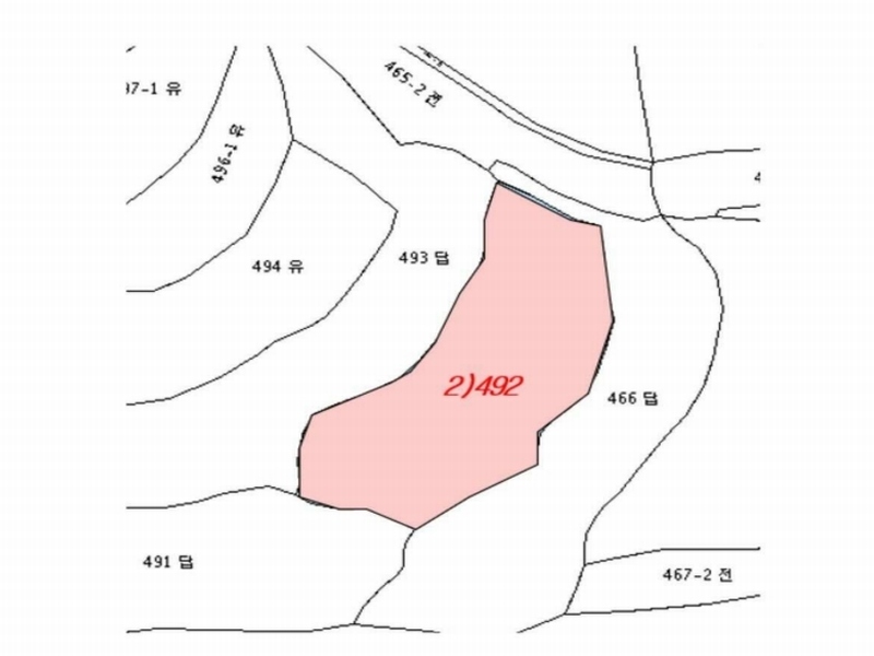 경매 이미지
