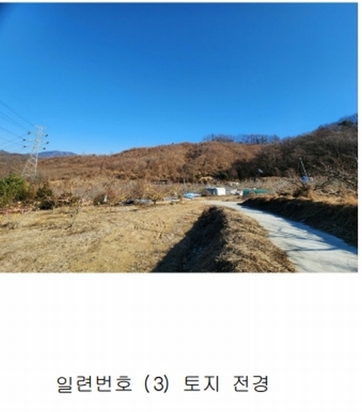 경매 이미지