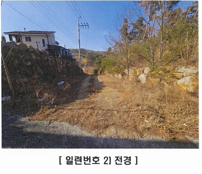 경매 이미지