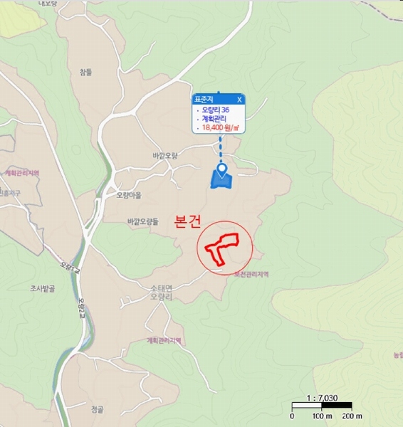 경매 이미지