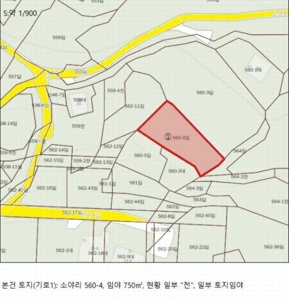 경매 이미지