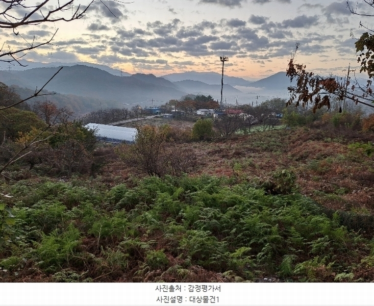 경매 이미지