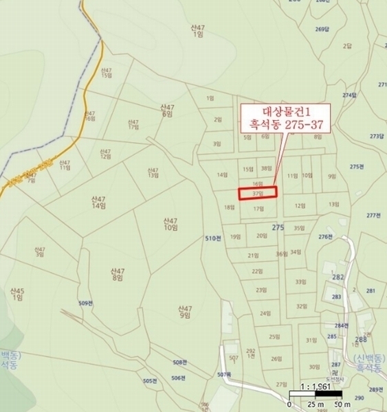 경매 이미지