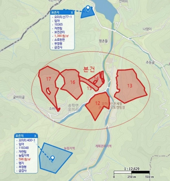 경매 이미지